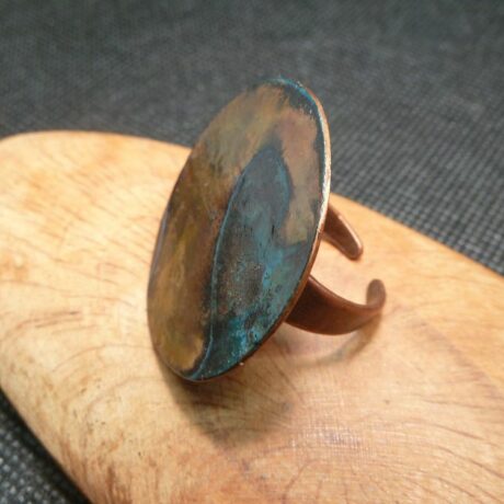 1.101.B.1 – bague disque oxydée