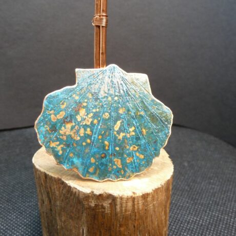 1.312.1 – broche coquille