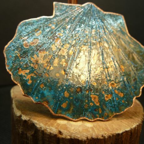 4.312.1 – broche coquille